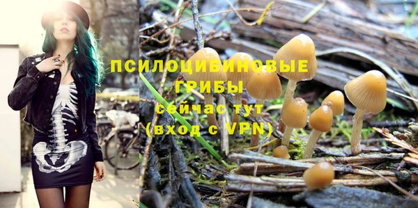 ПСИЛОЦИБИНОВЫЕ ГРИБЫ Алзамай