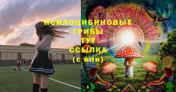 бошки Алексеевка
